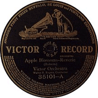 Victor 35101